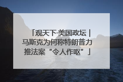 观天下·美国政坛｜马斯克为何称特朗普力推法案“令人作呕”