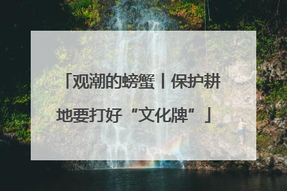 观潮的螃蟹丨保护耕地要打好“文化牌”