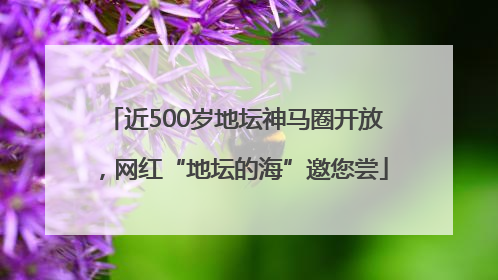 近500岁地坛神马圈开放，网红“地坛的海”邀您尝