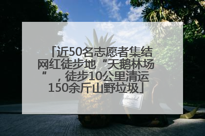 近50名志愿者集结网红徒步地“天鹅林场”，徒步10公里清运150余斤山野垃圾