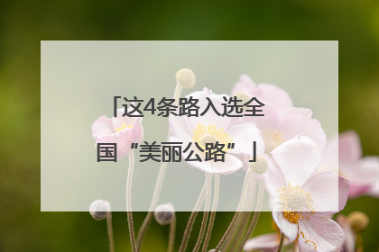 这4条路入选全国“美丽公路”
