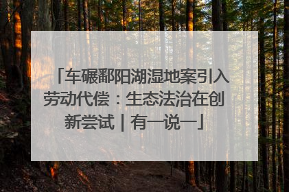 车碾鄱阳湖湿地案引入劳动代偿：生态法治在创新尝试｜有一说一