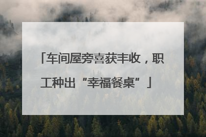 车间屋旁喜获丰收，职工种出“幸福餐桌”