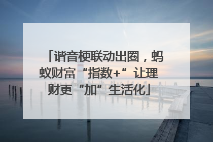 谐音梗联动出圈，蚂蚁财富“指数+”让理财更“加”生活化