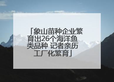 象山苗种企业繁育出26个海洋鱼类品种 记者亲历工厂化繁育