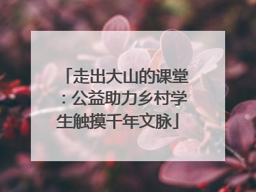 走出大山的课堂：公益助力乡村学生触摸千年文脉