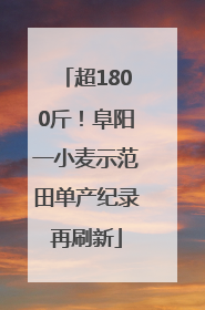 超1800斤！阜阳一小麦示范田单产纪录再刷新