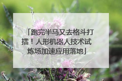 跑完半马又去格斗打擂！人形机器人技术试炼场加速应用落地