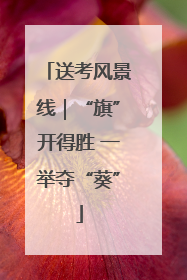 送考风景线｜“旗”开得胜 一举夺“葵”