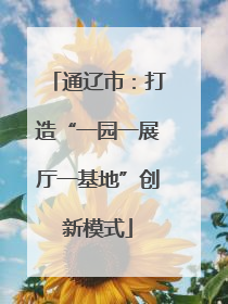 通辽市：打造“一园一展厅一基地”创新模式
