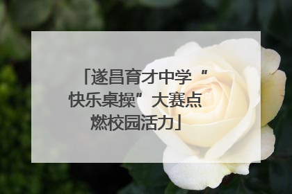 遂昌育才中学“快乐桌操”大赛点燃校园活力