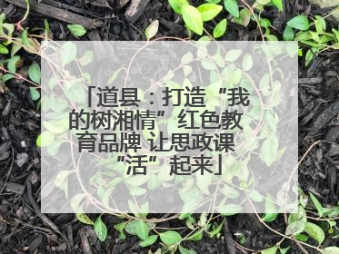 道县：打造“我的树湘情”红色教育品牌 让思政课“活”起来