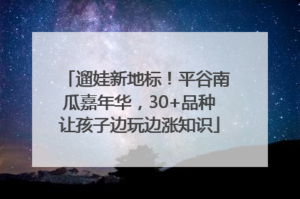 遛娃新地标！平谷南瓜嘉年华，30+品种让孩子边玩边涨知识