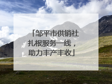 邹平市供销社扎根服务一线，助力丰产丰收
