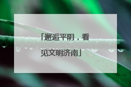 邂逅平阴，看见文明济南
