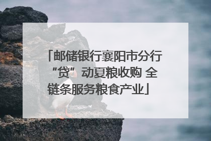 邮储银行襄阳市分行“贷”动夏粮收购 全链条服务粮食产业