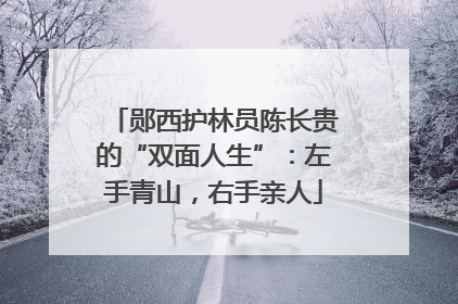 郧西护林员陈长贵的“双面人生”：左手青山，右手亲人