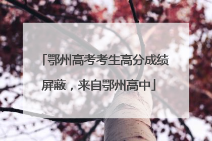 鄂州高考考生高分成绩屏蔽，来自鄂州高中