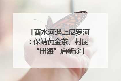 酉水河遇上尼罗河：保靖黄金茶、村厨“出海”启新途