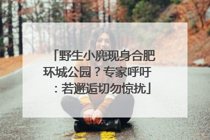 野生小麂现身合肥环城公园？专家呼吁：若邂逅切勿惊扰