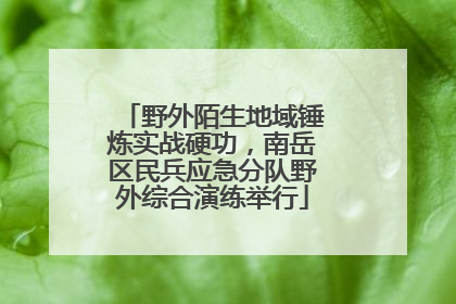 野外陌生地域锤炼实战硬功，南岳区民兵应急分队野外综合演练举行