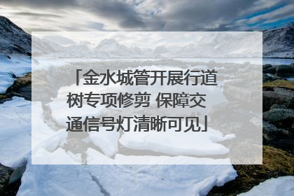 金水城管开展行道树专项修剪 保障交通信号灯清晰可见