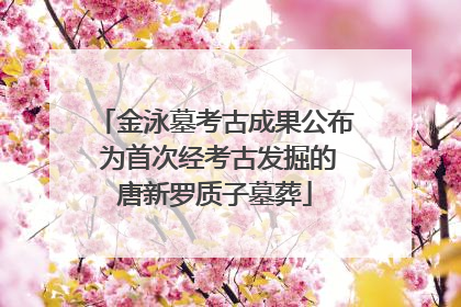 金泳墓考古成果公布 为首次经考古发掘的唐新罗质子墓葬