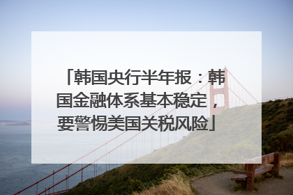 韩国央行半年报：韩国金融体系基本稳定，要警惕美国关税风险
