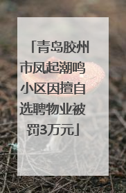 青岛胶州市凤起潮鸣小区因擅自选聘物业被罚3万元