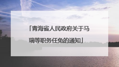 青海省人民政府关于马瑞等职务任免的通知
