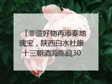 非遗好物再添秦地瑰宝，陕西白水杜康十三朝酒海陈藏30年别具一格