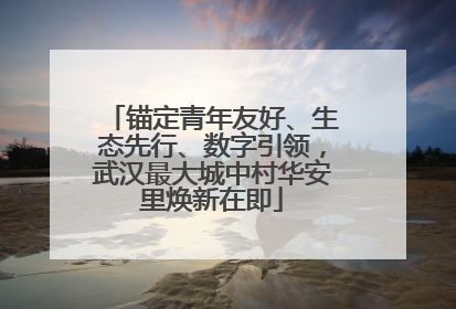 锚定青年友好、生态先行、数字引领，武汉最大城中村华安里焕新在即