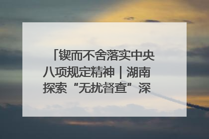 锲而不舍落实中央八项规定精神｜湖南探索“无扰督查”深化基层减负