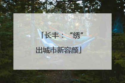 长丰：“绣”出城市新容颜