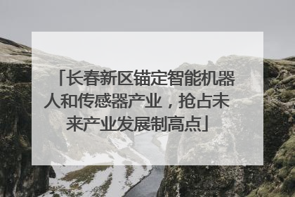 长春新区锚定智能机器人和传感器产业，抢占未来产业发展制高点