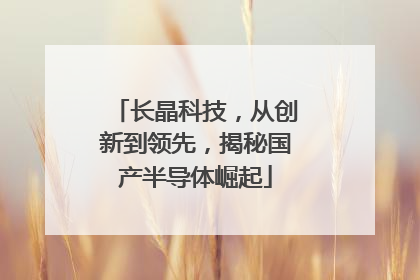 长晶科技，从创新到领先，揭秘国产半导体崛起