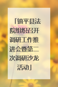 镇平县法院组织召开调研工作推进会暨第二次调研沙龙活动