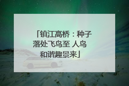 镇江高桥：种子落处飞鸟至 人鸟和谐趣景来