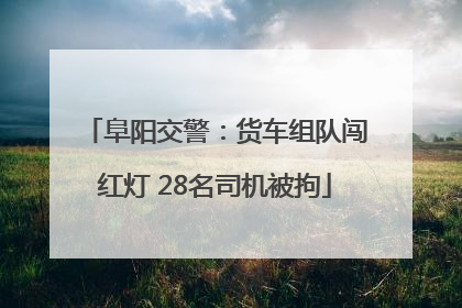 阜阳交警：货车组队闯红灯 28名司机被拘