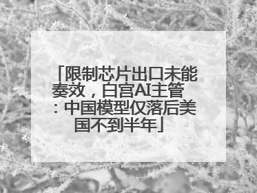 限制芯片出口未能奏效，白宫AI主管：中国模型仅落后美国不到半年