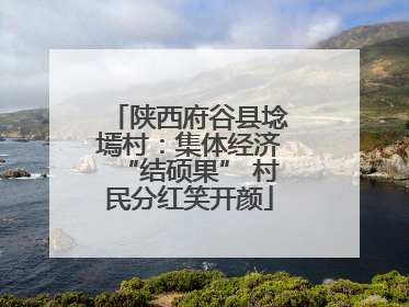 陕西府谷县埝墕村：集体经济“结硕果” 村民分红笑开颜