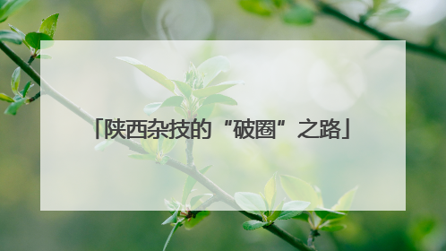 陕西杂技的“破圈”之路