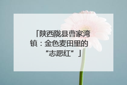 陕西陇县曹家湾镇：金色麦田里的“志愿红”