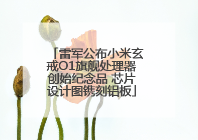 雷军公布小米玄戒O1旗舰处理器创始纪念品 芯片设计图镌刻铝板