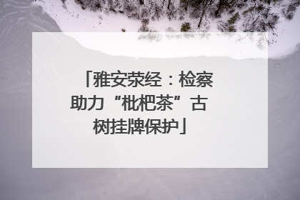 雅安荥经：检察助力“枇杷茶”古树挂牌保护