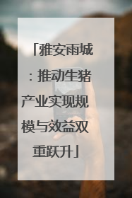 雅安雨城：推动生猪产业实现规模与效益双重跃升