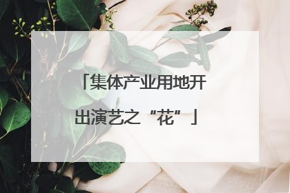 集体产业用地开出演艺之“花”
