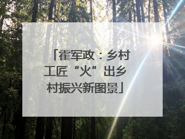 霍军政：乡村工匠“火”出乡村振兴新图景