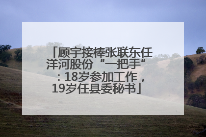 顾宇接棒张联东任洋河股份“一把手”：18岁参加工作，19岁任县委秘书