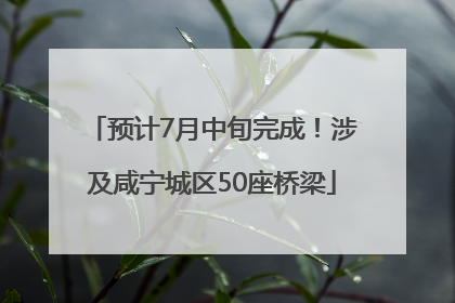 预计7月中旬完成！涉及咸宁城区50座桥梁